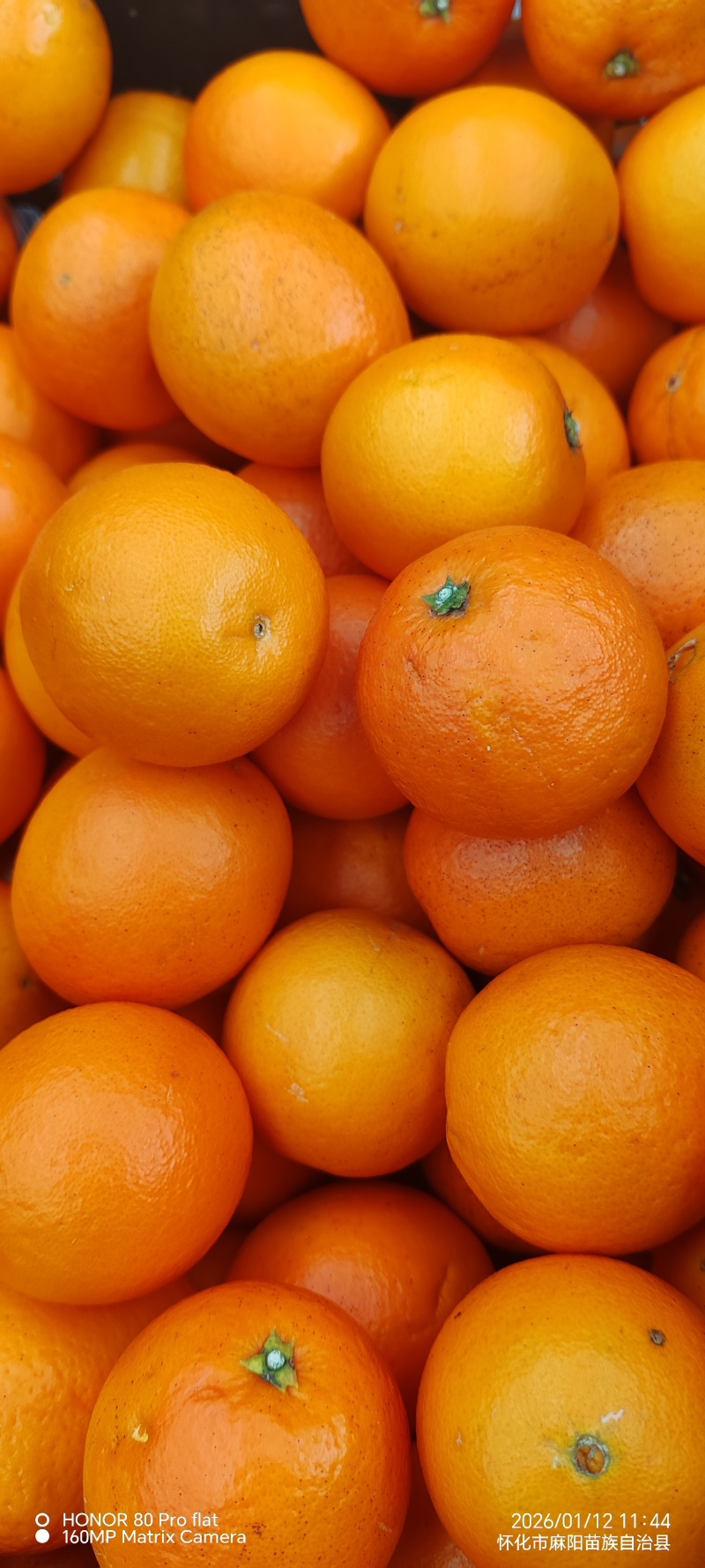 麻阳锦蜜