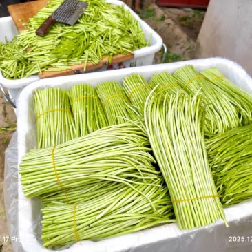 精品芦蒿白菜价格