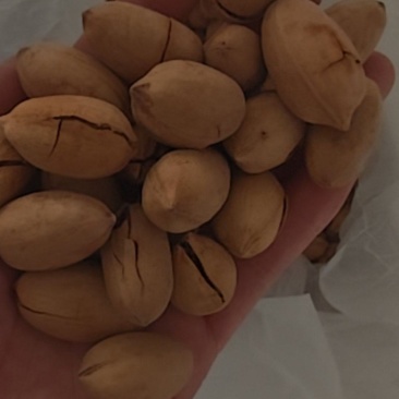 碧根果精品货，支持各大电商一件代发，欢迎实地考察