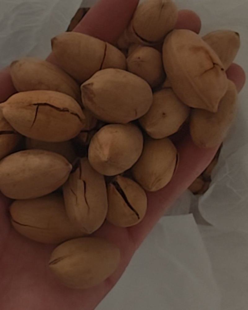 碧根果精品货，支持各大电商一件代发，欢迎实地考察