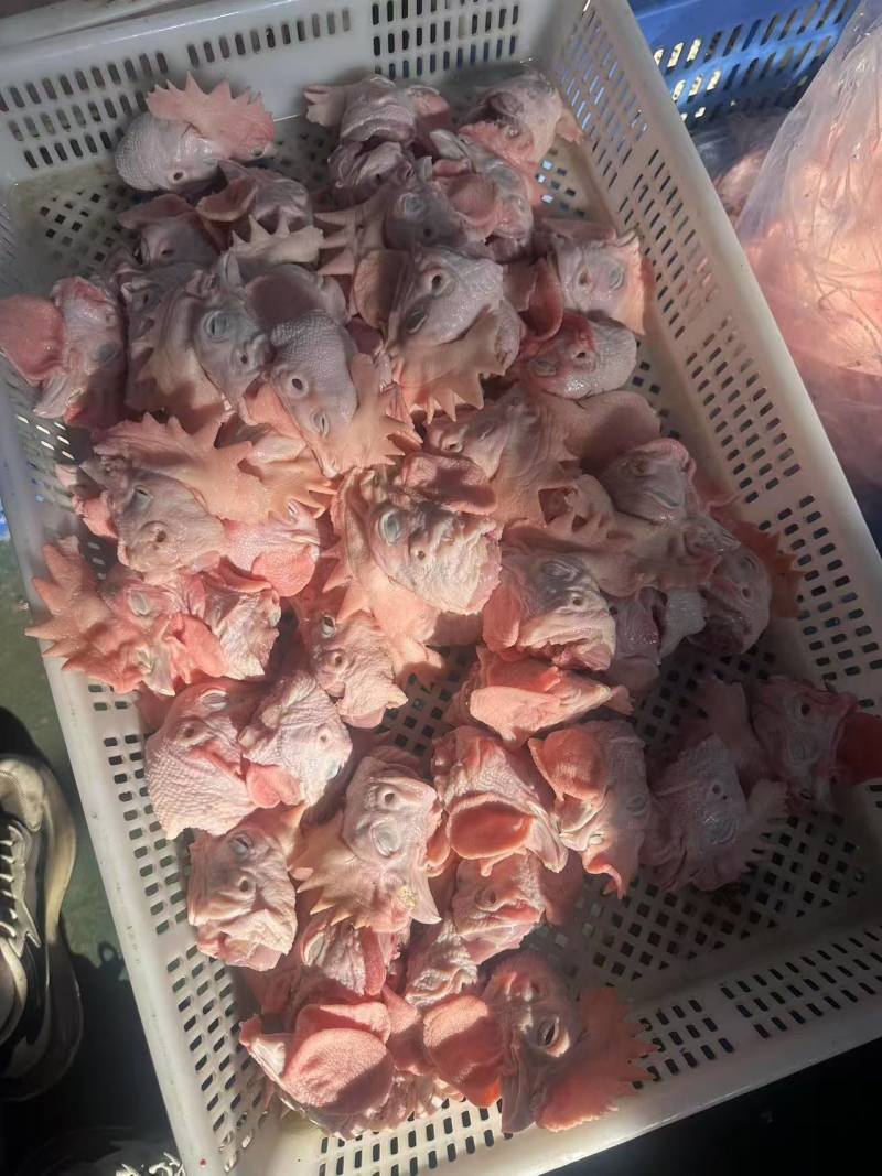 精品公鸡头质量保证