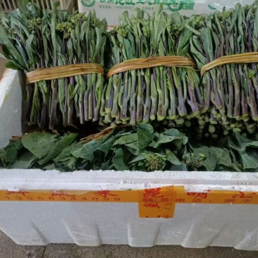 潮汕芥蓝