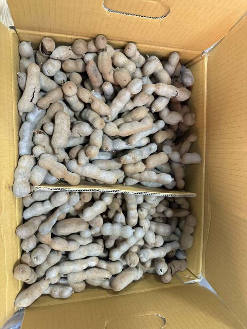亳州批发干果，甜酸角电商坚果大量有货