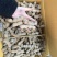 亳州批发干果，甜酸角电商坚果大量有货