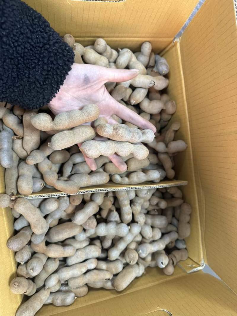亳州批发干果，甜酸角电商坚果大量有货