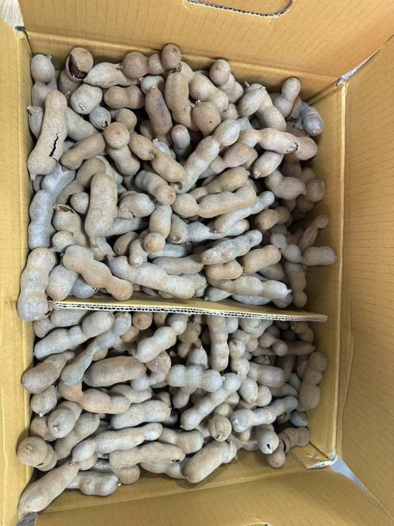 亳州批发干果，甜酸角电商坚果大量有货