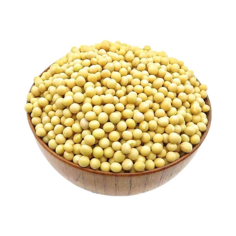 黄豆豆腐原料农家种新鲜