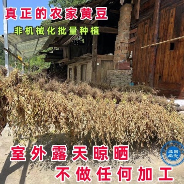 黄豆豆腐原料农家种新鲜