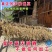 黄豆豆腐原料农家种新鲜
