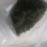 悟道茶