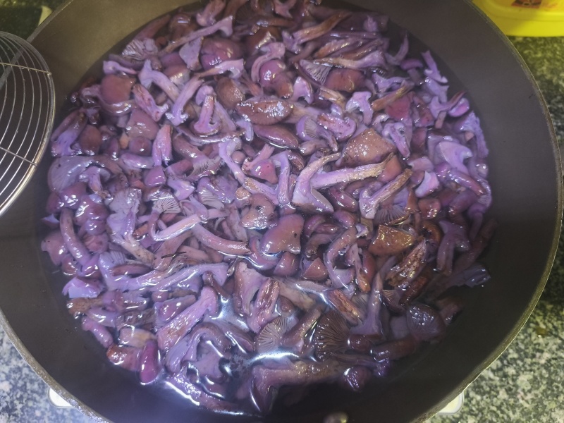 野山菌，红蘑，速冻，袋装