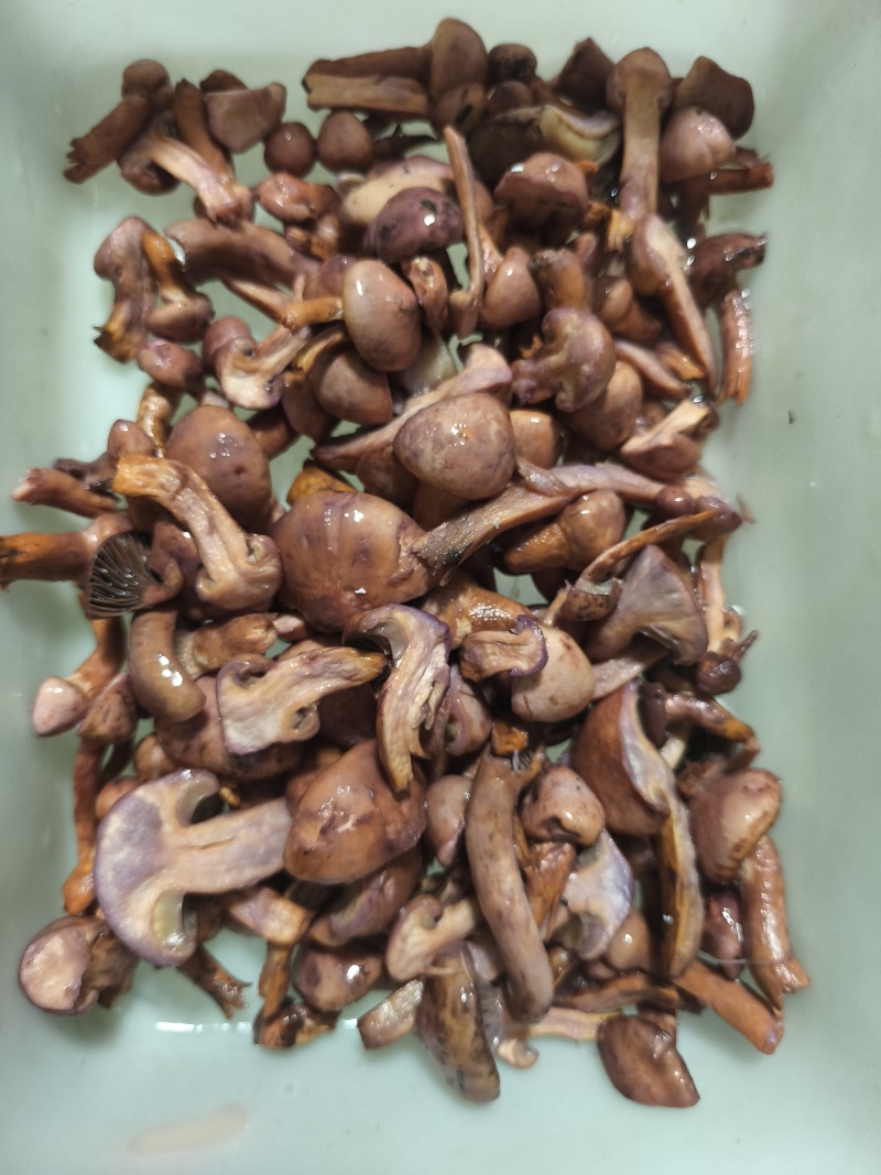 野山菌，红蘑，速冻，袋装