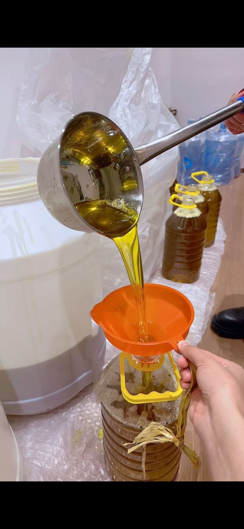婺源山茶油