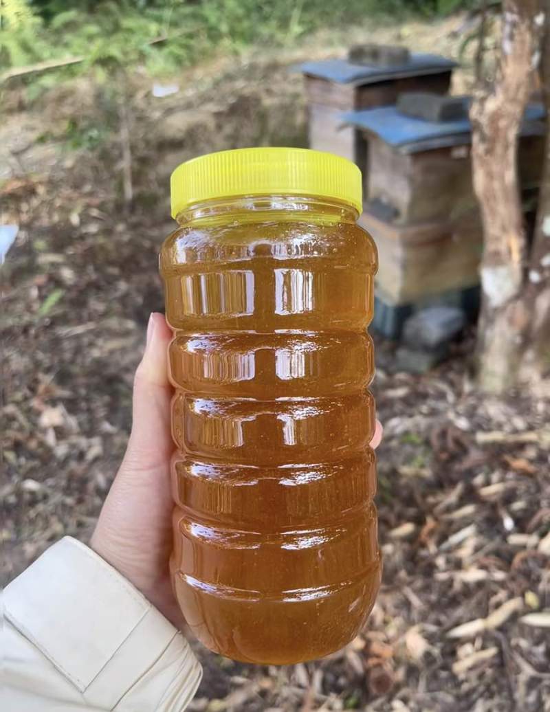 广东鸭脚木冬蜜自家养殖支持视频看货，原生态蜂蜜欢迎咨询
