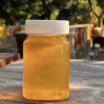 广东鸭脚木冬蜜自家养殖支持视频看货，原生态蜂蜜欢迎咨询