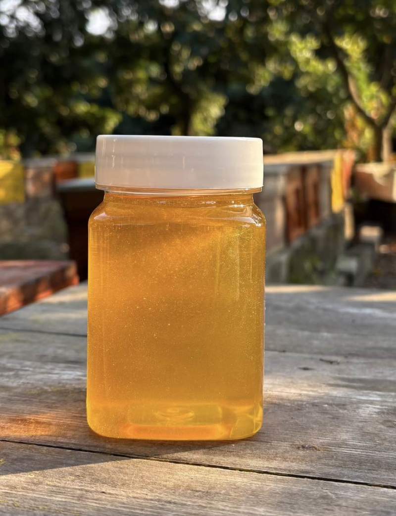 广东鸭脚木冬蜜自家养殖支持视频看货，原生态蜂蜜欢迎咨询