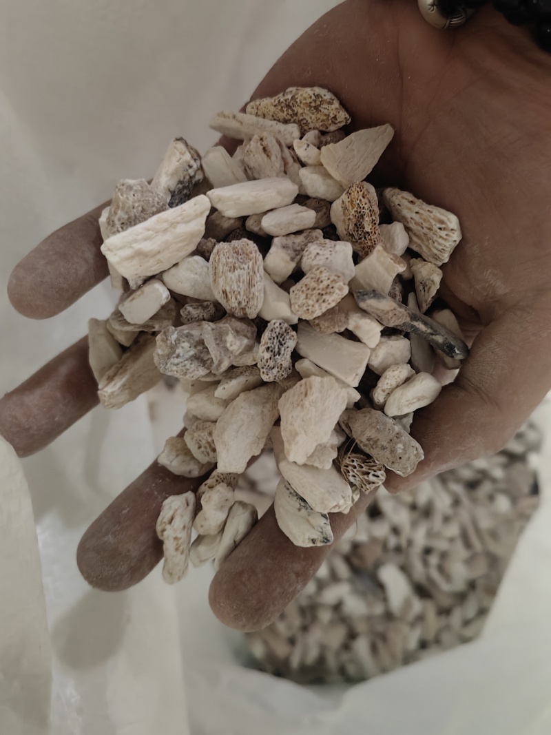 龙骨矿石类正品