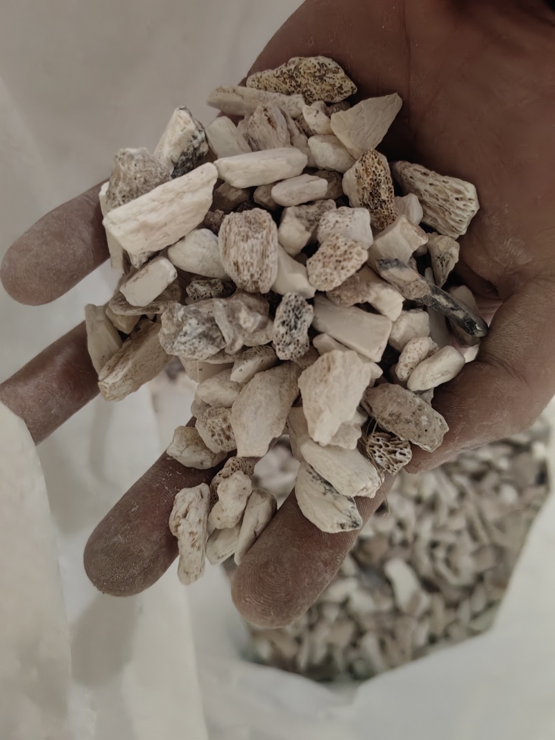 龙骨矿石类正品