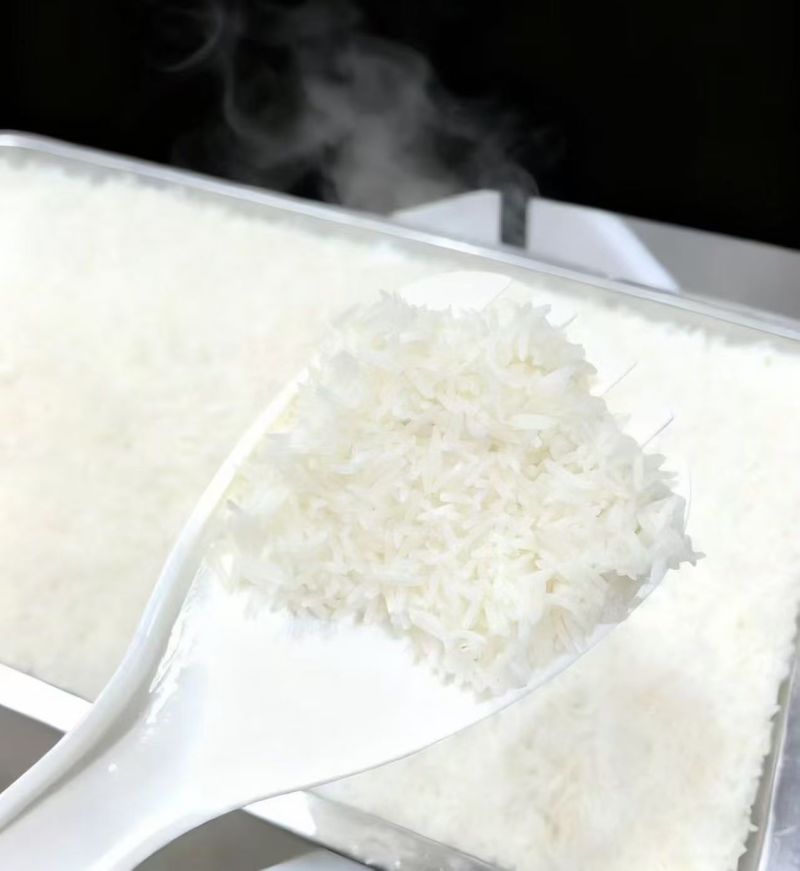 江西鄱阳猫牙米长粒香米今年新米鄱稻人大米口感柔软顺滑10斤装
