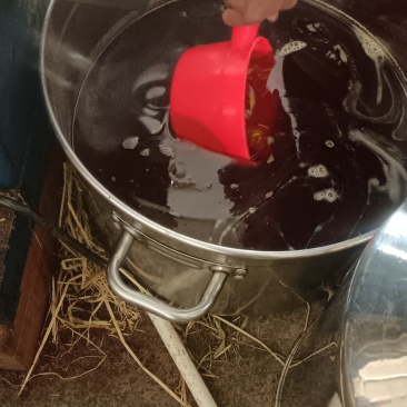 山茶油