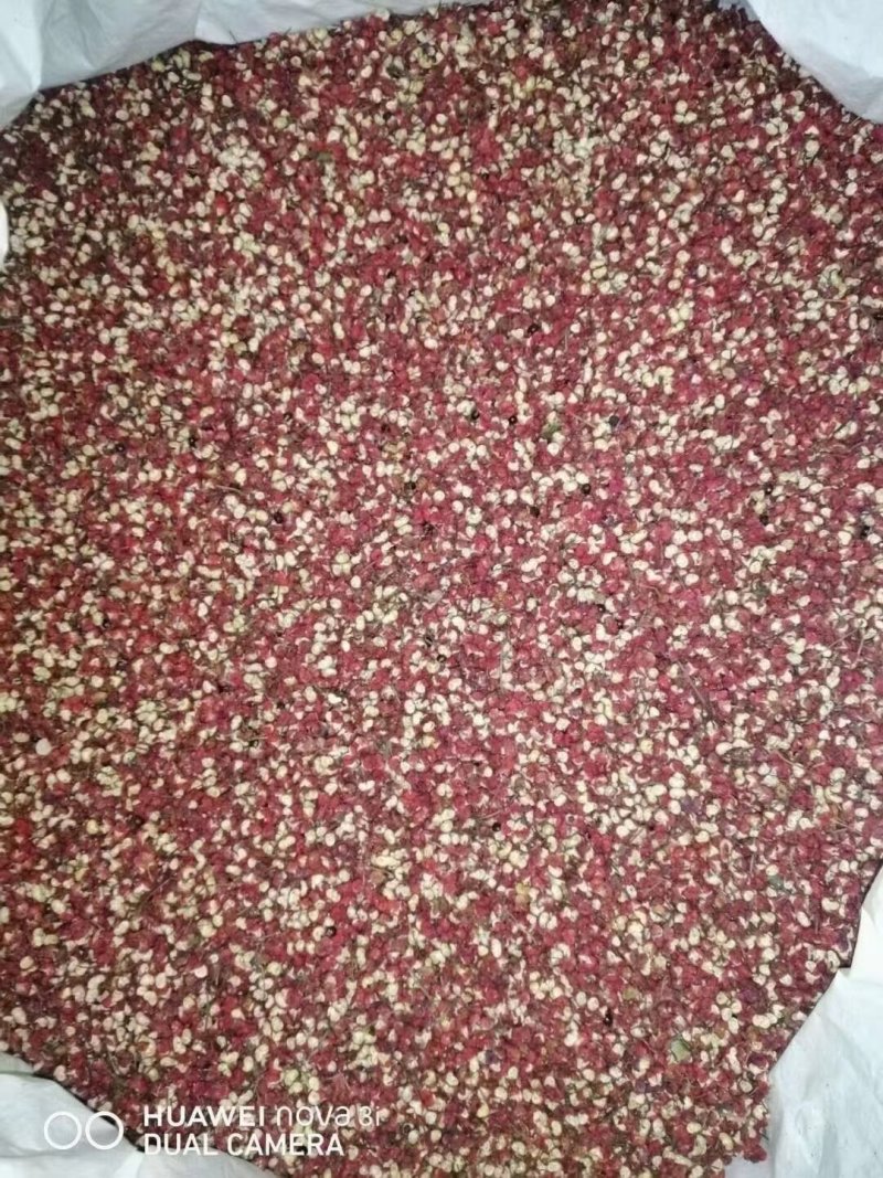 甘肃花椒