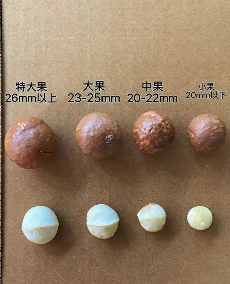 夏威夷果，多大都有，电商一件代发，大货批发