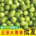 平和原产区贵妃牛奶枣