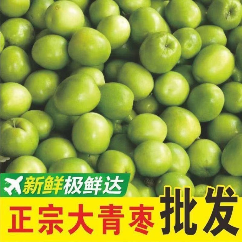 平和原产区贵妃牛奶枣