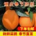 奉节脐橙