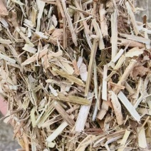 优质花生秧