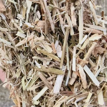 优质花生秧
