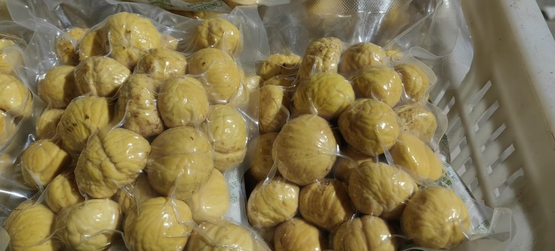 山东老树剥皮油栗，萝卜价买不到真人参，我们现包装现发货