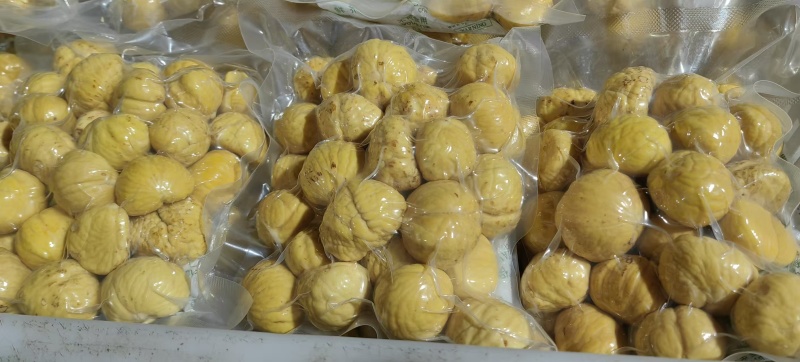 山东老树剥皮油栗，萝卜价买不到真人参，我们现包装现发货