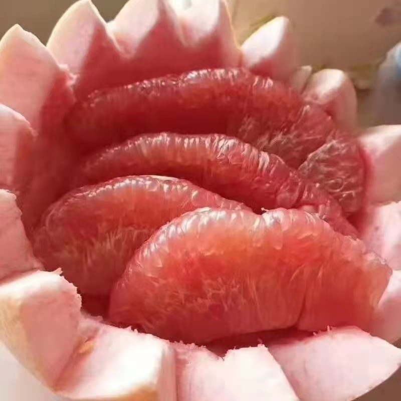 沙田柚，，蜜柚
