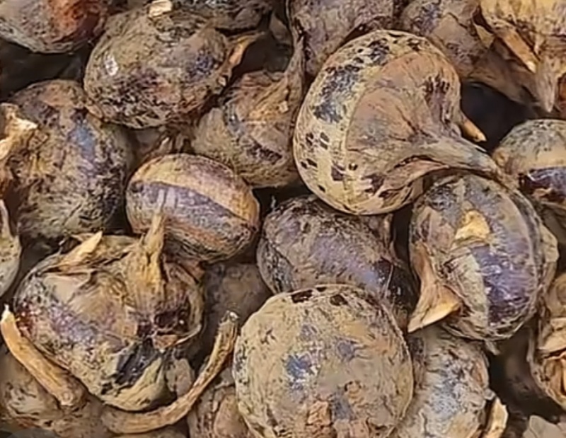 广西水果马蹄，削皮白马蹄