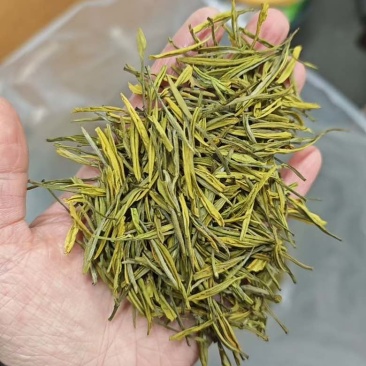 白茶金香玉