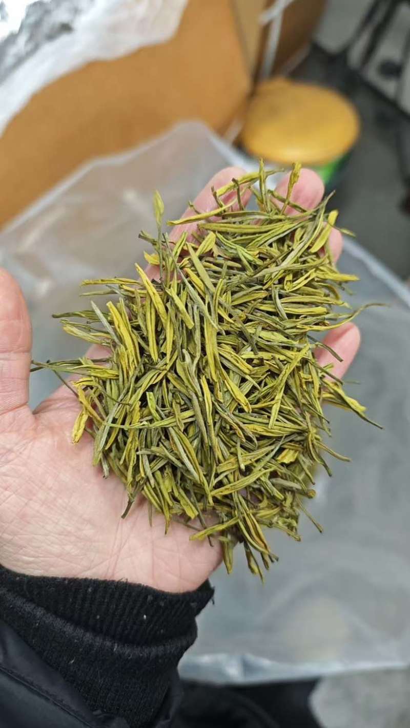 白茶金香玉