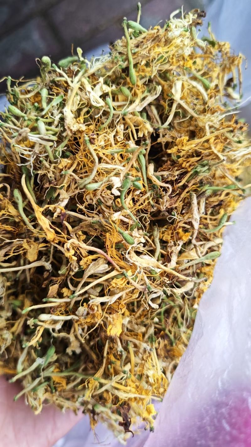 野生金银花，黄金