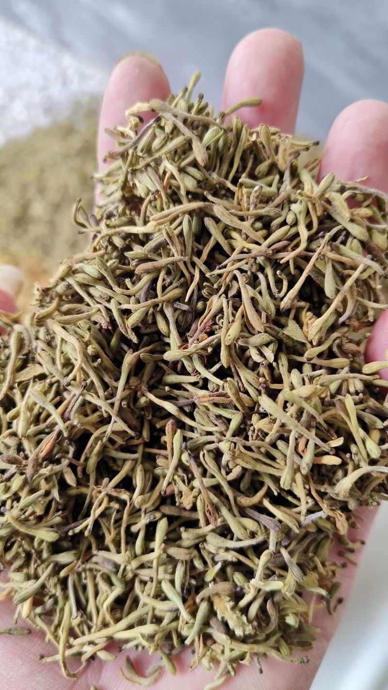 野生金银花，黄金