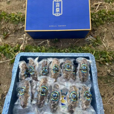 威海即食海参
