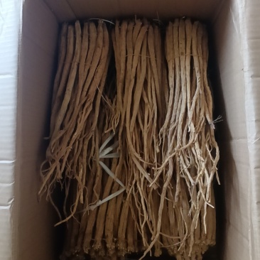 各种规格干货鲜货
