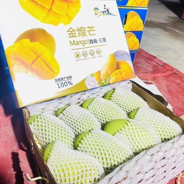 精品金煌芒