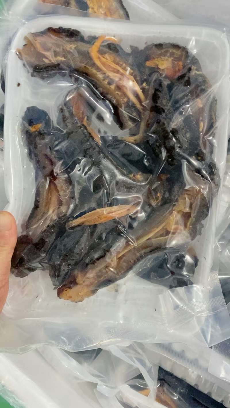 红极参