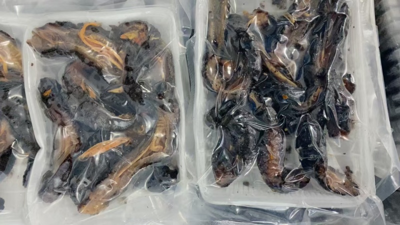 红极参