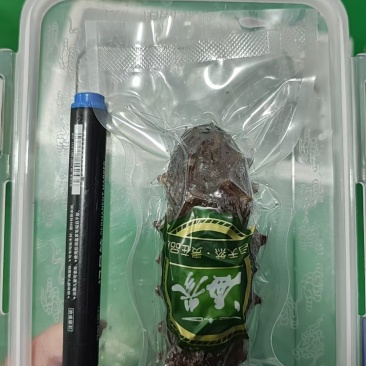 威海即食海参8-28头
