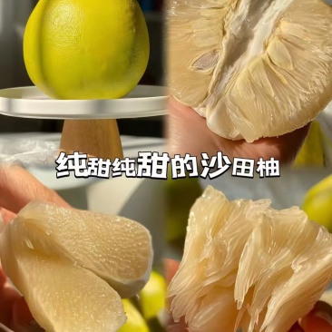 江永沙田柚