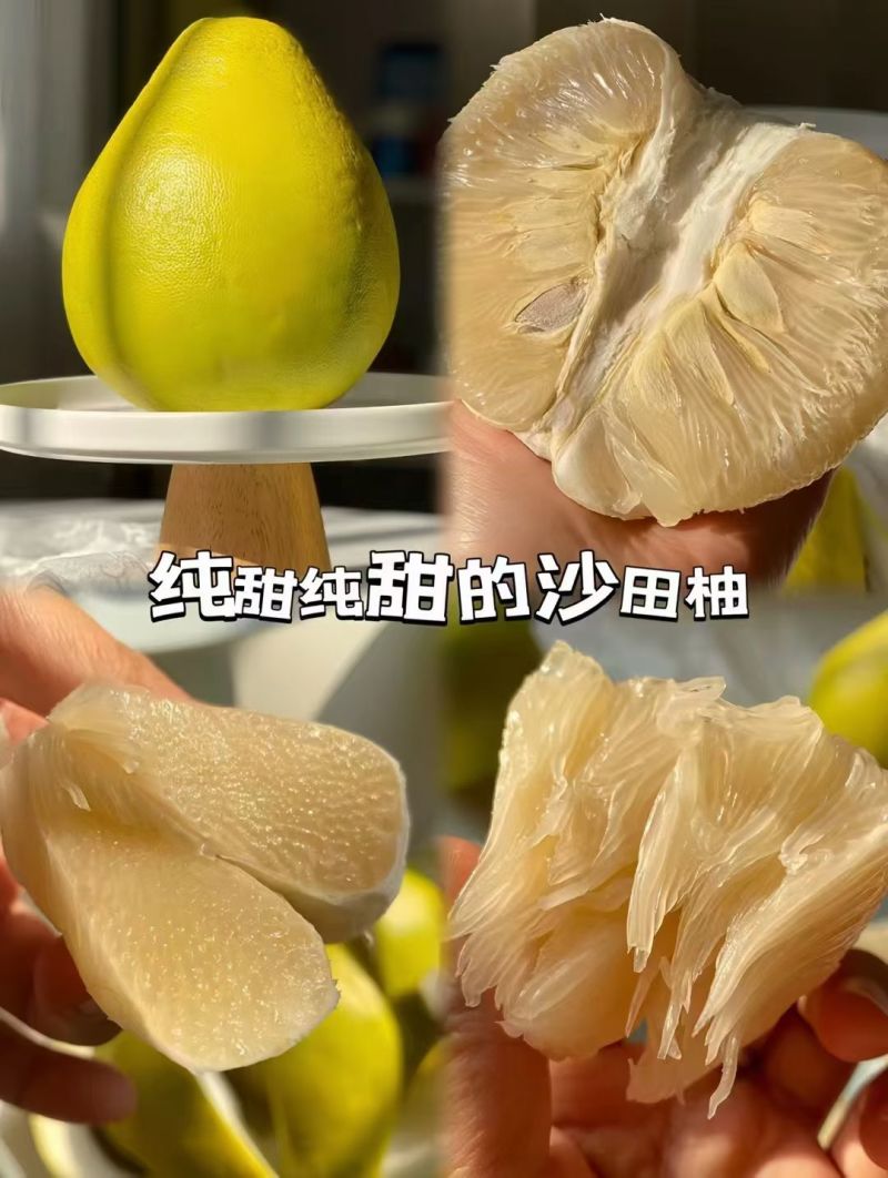 江永沙田柚