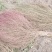 大扫帚山西太原清徐县自产自销量大价格可以谈