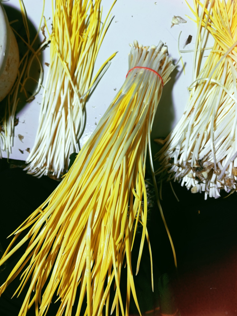 精品小把蒜黄