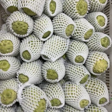 释迦果可以包邮，可以批发价，需要的联系***********